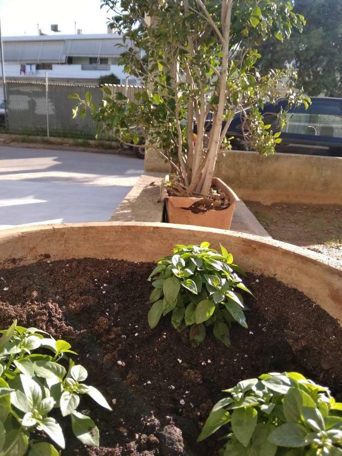 Appartamento Spyros Nauplia
